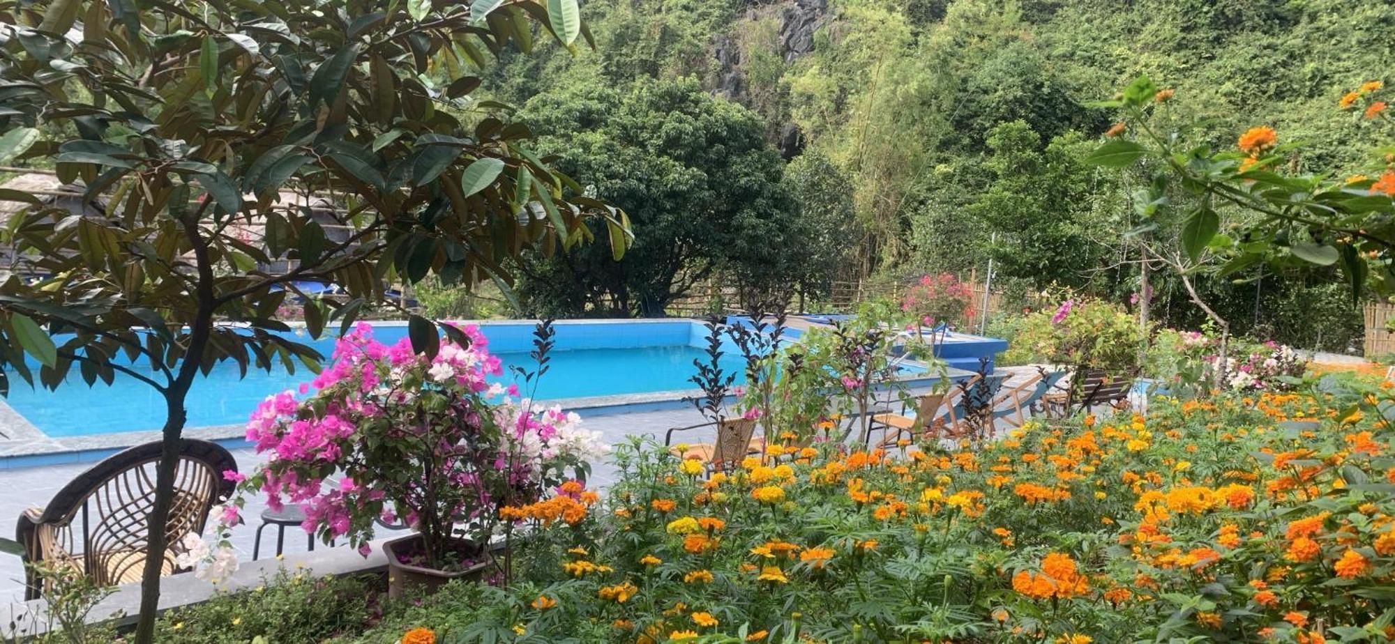 Cat Ba Island Garden Homestay - Papillon Zewnętrze zdjęcie