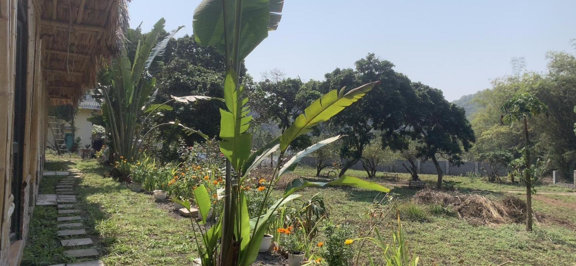 Cat Ba Island Garden Homestay - Papillon Zewnętrze zdjęcie