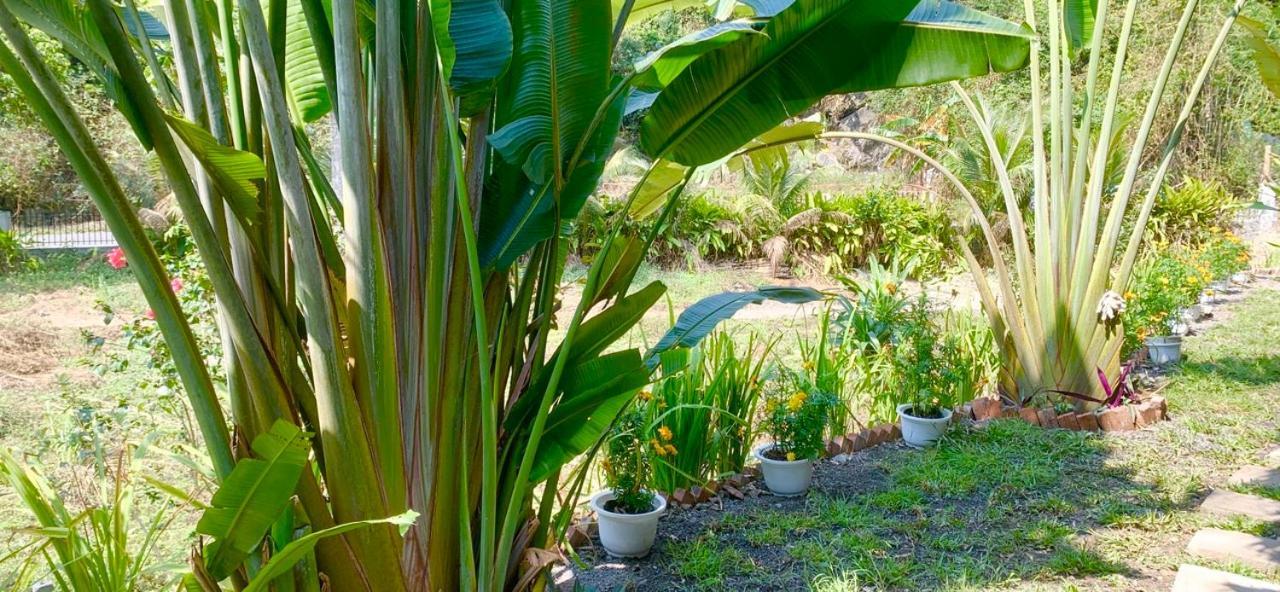 Cat Ba Island Garden Homestay - Papillon Zewnętrze zdjęcie