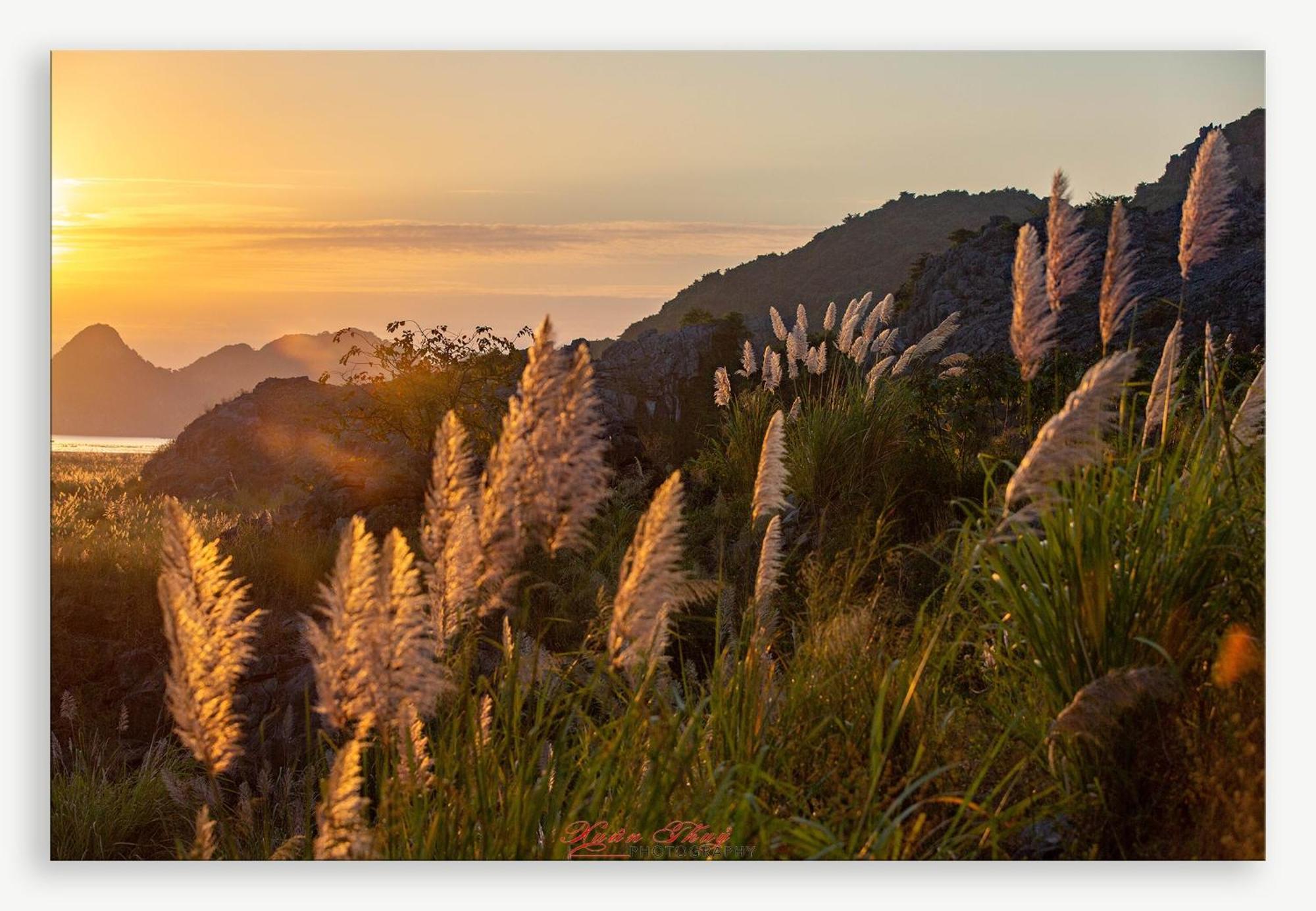 Cat Ba Island Garden Homestay - Papillon Zewnętrze zdjęcie