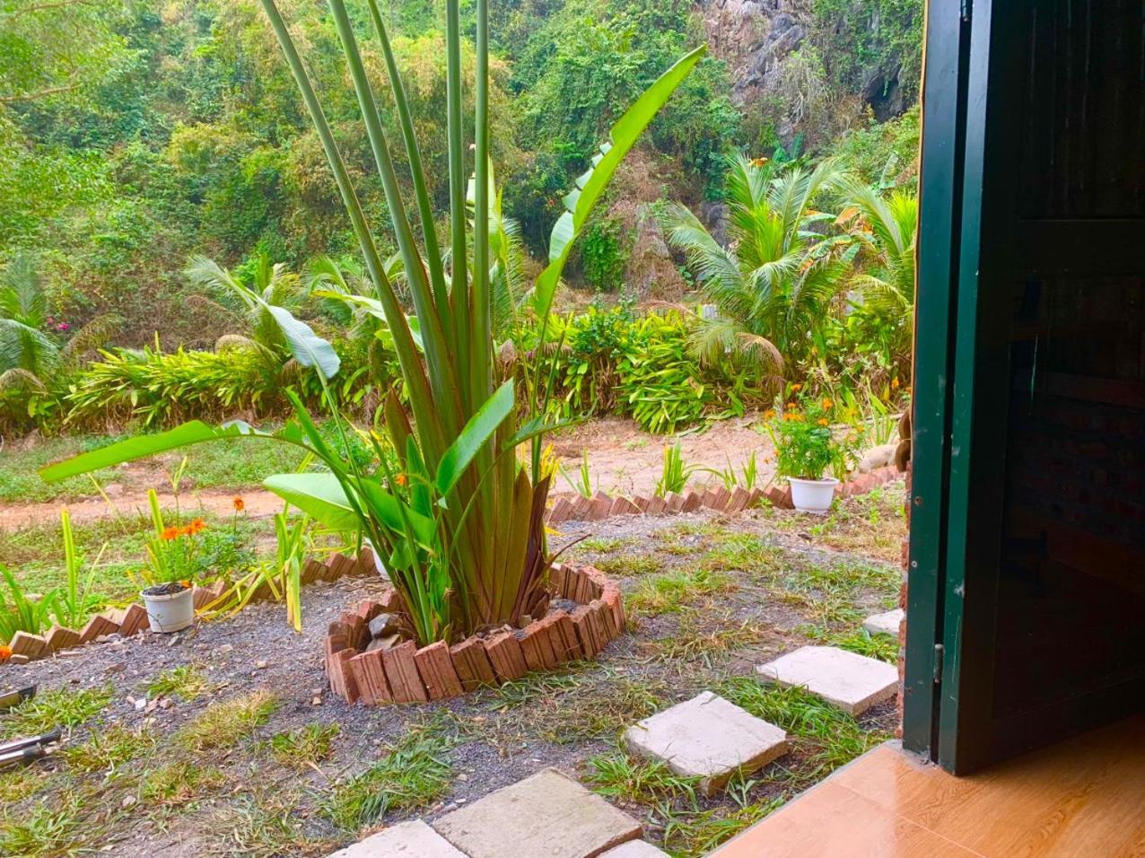 Cat Ba Island Garden Homestay - Papillon Zewnętrze zdjęcie