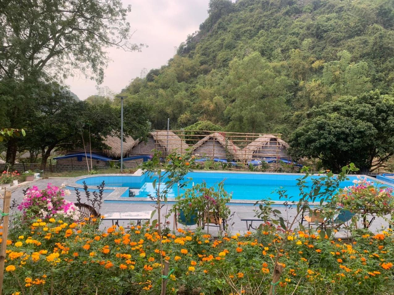 Cat Ba Island Garden Homestay - Papillon Zewnętrze zdjęcie