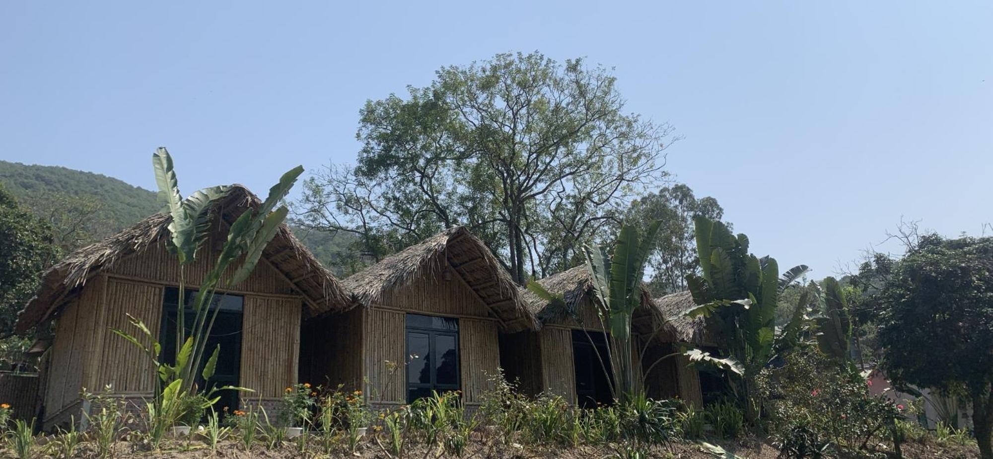 Cat Ba Island Garden Homestay - Papillon Zewnętrze zdjęcie